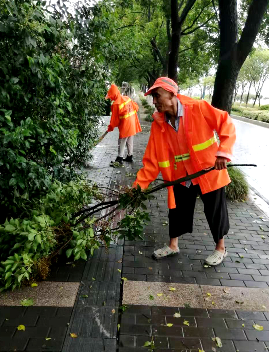 环卫03.jpg